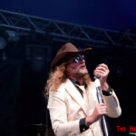Zeeltje Rock 2025: Plan Nine
